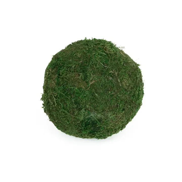 Moss Ball 6” - Set of 2