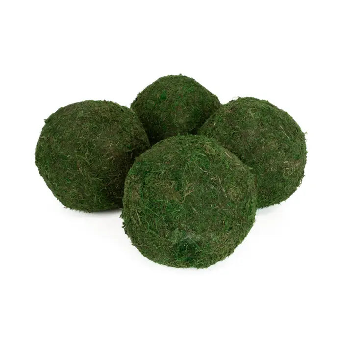 Moss Ball 6” - Set of 2