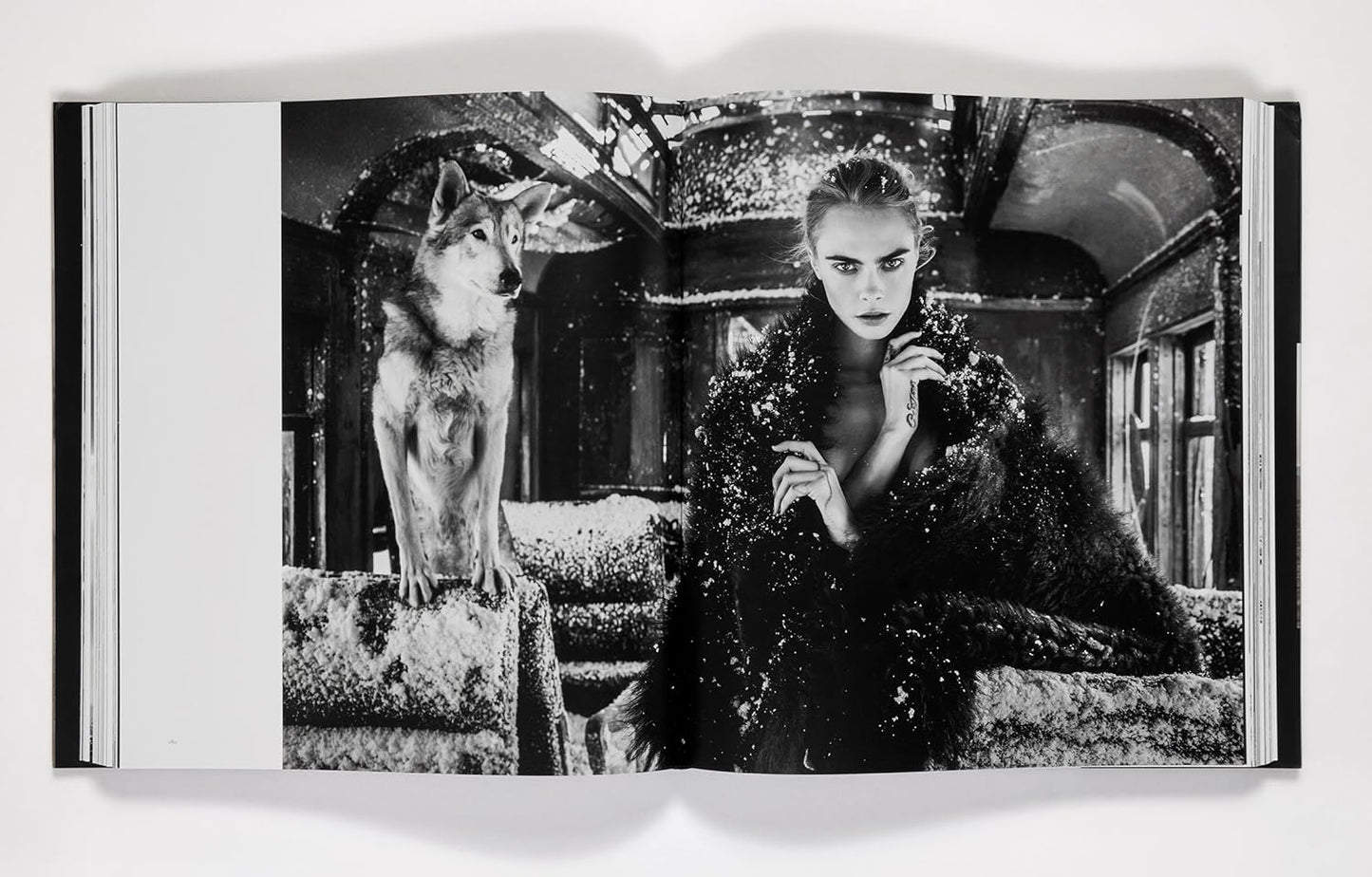 David Yarrow: The Collection Book