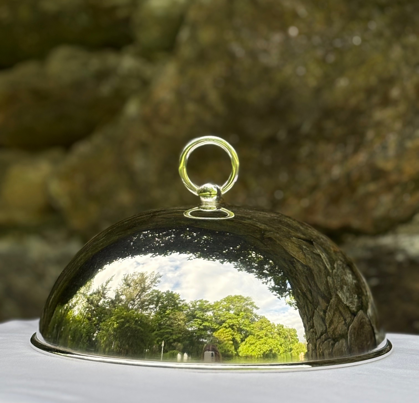 Hôtel Silver - Vintage Dome Cover