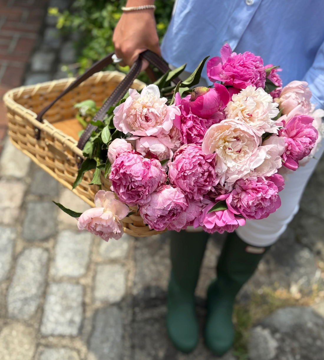 The Secret Garden in Bloom