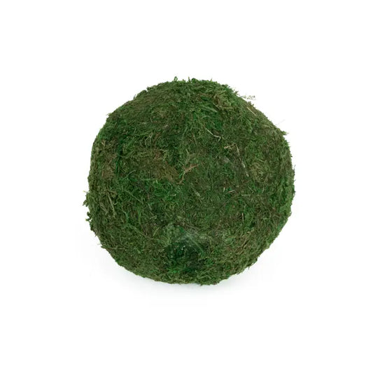 Moss Ball 6” - Set of 2