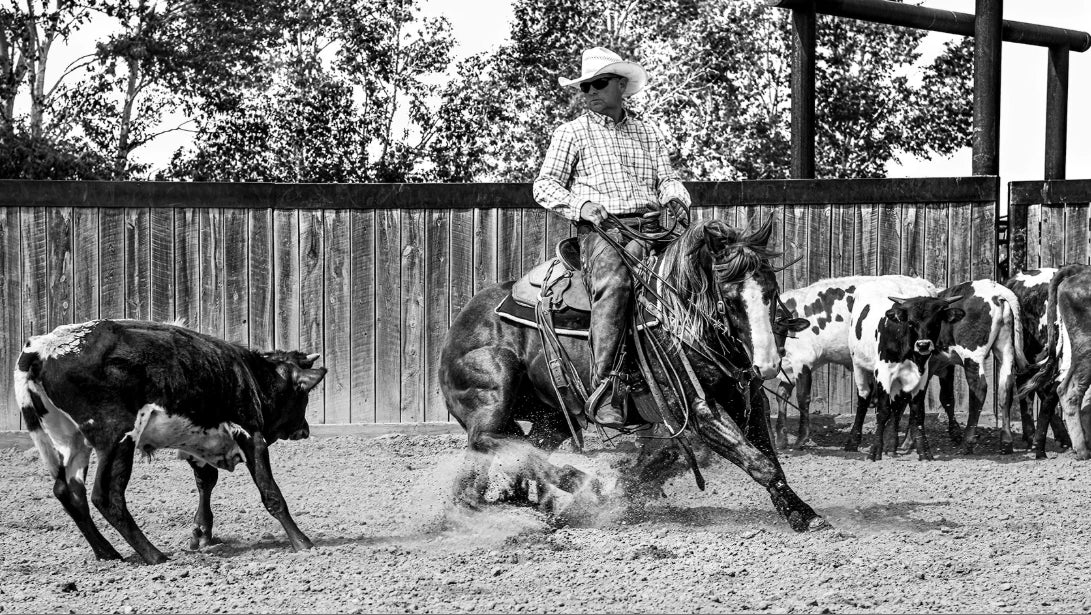 Ranchland: Wagonhound By Anouk Masson Krantz Book