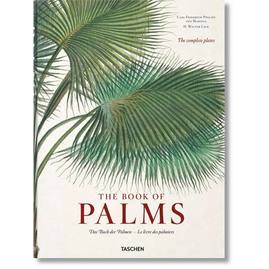 The Book of Palms