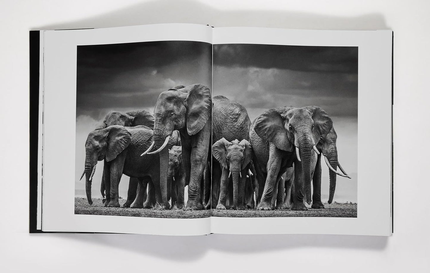 David Yarrow: The Collection Book