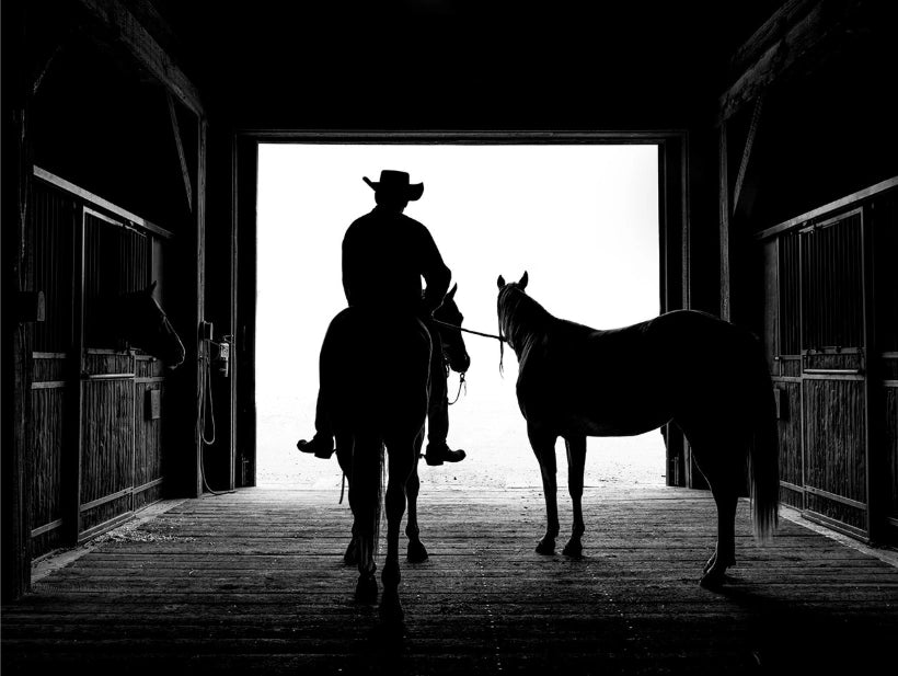 Ranchland: Wagonhound By Anouk Masson Krantz Book