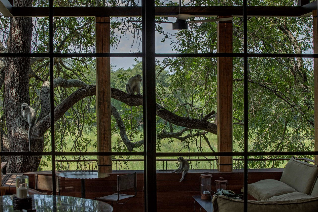 Safari Style Book